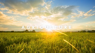 Agriculture