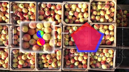 Agriculture03