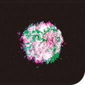 bg_cases01_01
