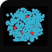 bg_cases01_05