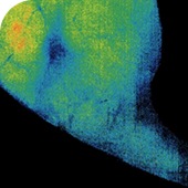 bg_cases02_02