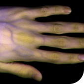 bg_cases02_04