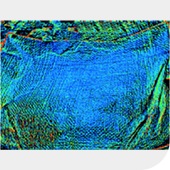 bg_cases04_01