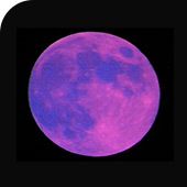 bg_cases06_05