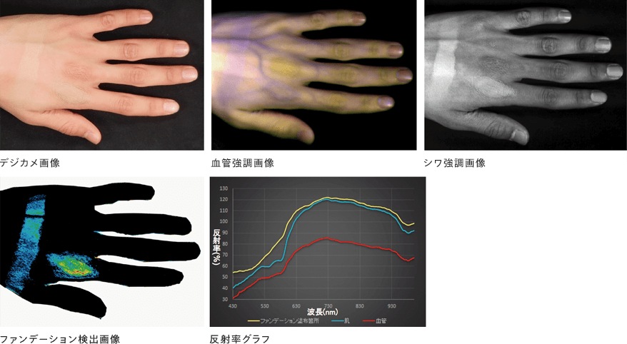 生体情報の多次元解析