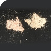 pic_cases05_02