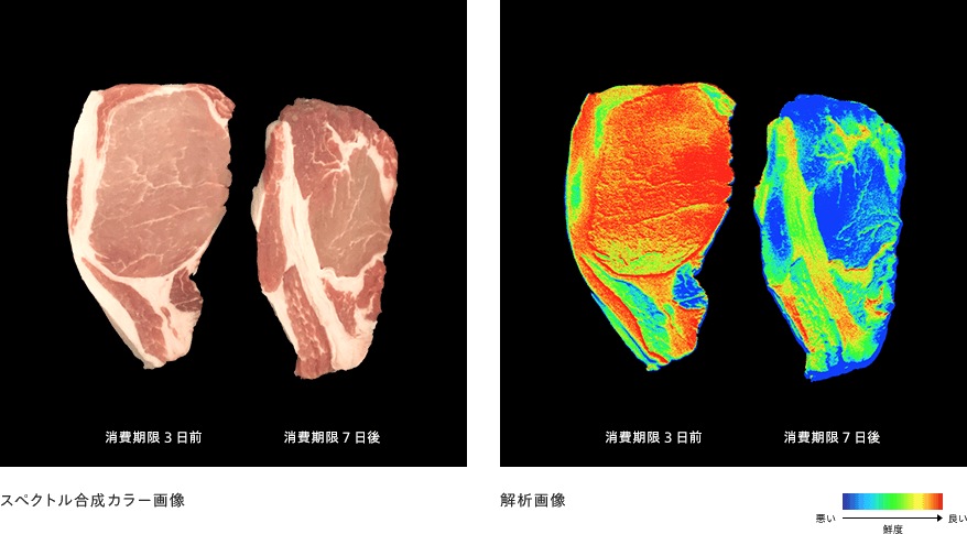 豚肉の鮮度劣化の可視化