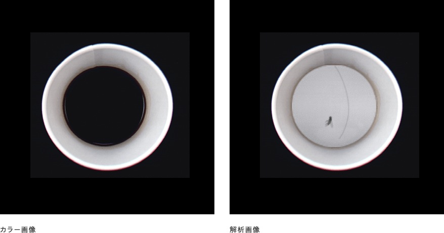 醤油内の異物の検出（虫、髪の毛）